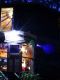 yurtnight