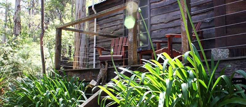 yurtagapanthus