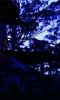 nightoutside2