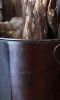 woodbucket